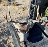 1763570743214.jpg 1763570743214.jpg