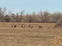 IMG_4211.jpg IMG_4211.jpg