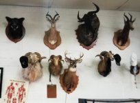 20251123_062651.jpg 20251123_062651.jpg