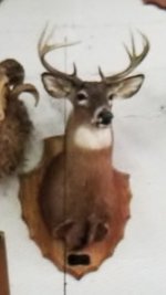 20251123_062733.jpg 20251123_062733.jpg