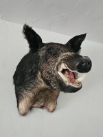 IMG_0639.jpeg IMG_0639.jpeg