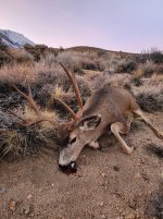 20251207_164710.jpg 20251207_164710.jpg