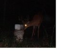biggerbuck.jpg