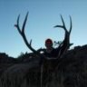 B&CMulies