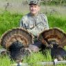 5woodies