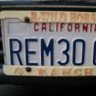 REM3006