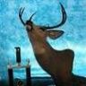 Royal Oaks Taxidermy