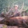 Hog slayer