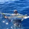 fish impaler