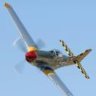 p51mcginnis