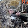 Muledeer527