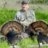 5woodies