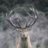 DEERSLAM