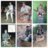 Troutman_209