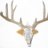 Buck Wrangler